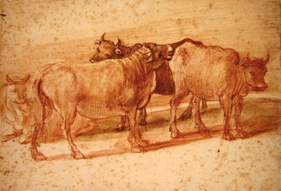 牛（紙に赤チョーク） 作： Claude Lorrain