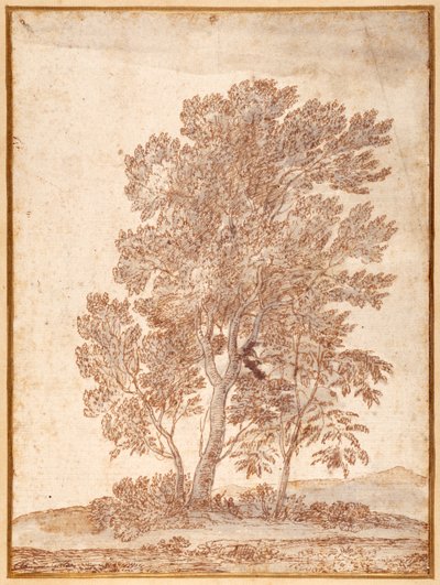 3本の木（ペン、ブラウンインク、グレーウォッシュ、紙 作： Claude Lorrain
