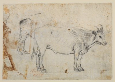 牛の研究 作： Claude Lorrain