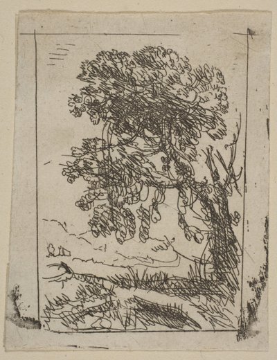 2つの風景の左側の木、ca。 1630年。 作： Claude Lorrain