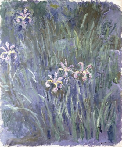 アイリス、1914-1917年頃 作： Claude Monet