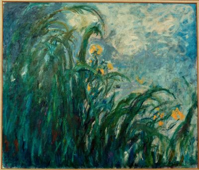 レアイリスジョーンズ（黄色いアイリス） 作： Claude Monet