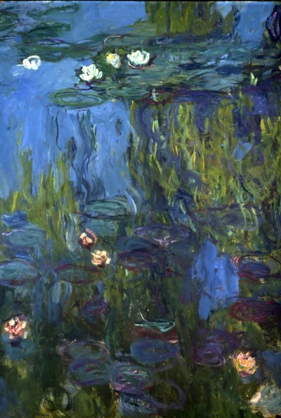 ニンフィア、1914-17 作： Claude Monet