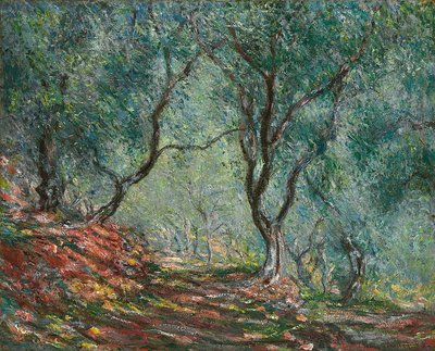 モレノガーデンのオリーブの木、1884 作： Claude Monet