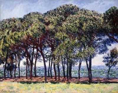 パインズ、キャップダンティーブ、1888 作： Claude Monet