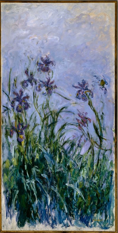 紫色のアイリス、1914-17 作： Claude Monet