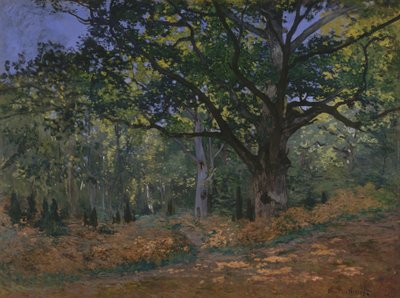 フォンテーヌブローの森フォンテーヌブローの森 作： Claude Monet