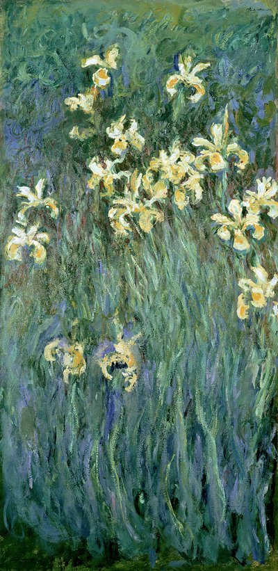 黄色いアイリス 作： Claude Monet