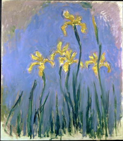 黄色いアイリス、1918年から25年 作： Claude Monet