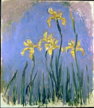 黄色いアヤメ（Les Iris Jaunes）』1918-1925年頃（油彩・キャンバス 作： Claude Monet