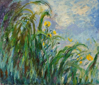 黄色いアイリス、c。 1925年。 作： Claude Monet