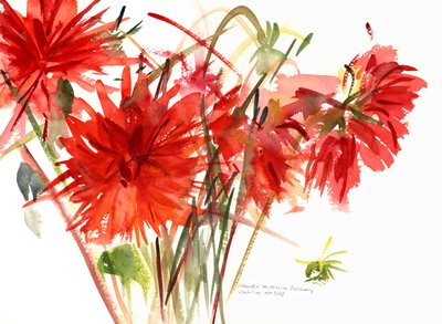 ダリア、2002（水彩） 作： Claudia Hutchins Puechavy