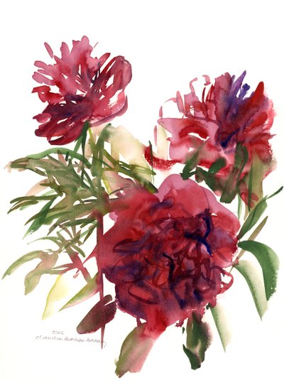牡丹、2002（水彩） 作： Claudia Hutchins Puechavy