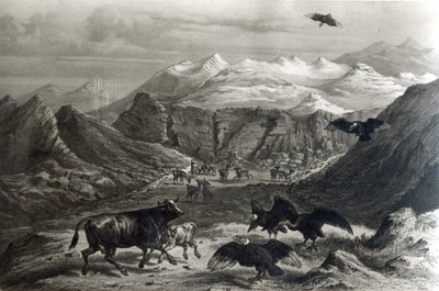 F.Lehnertによって刻まれた「ヒストリアデチリ」からのコンドルズに襲われた子牛、1834年の写真） 作： Claudio Gay