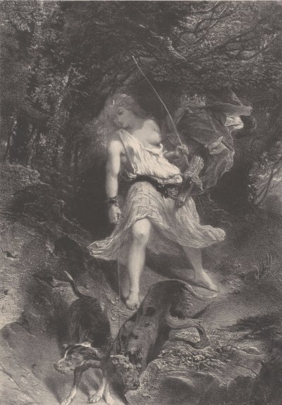 ダイアン、カリフォルニア州。 1830-70。 作： Célestin Nanteuil