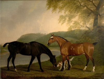 1830年頃の風景の中の馬と犬 作： Clifton Tomson