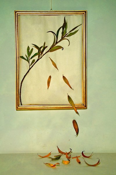  作： 