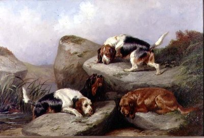 オッターハウンド、1889 作： Colin Graeme