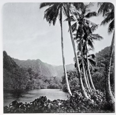1882年にロンドンで出版された「タヒチ」のヒティア湖 作： Colonel Stuart Wortley