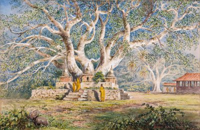 カンディアン・クイーンの埋葬地にある聖なるボー・ツリー 作： Constance Frederica Gordon Cumming