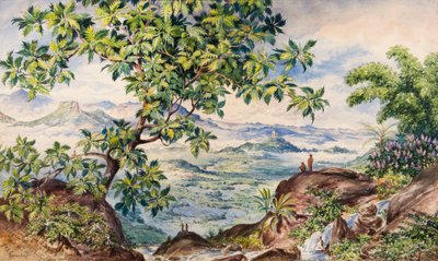 パンの木の研究、アレガラ・ピーク 作： Constance Frederica Gordon Cumming