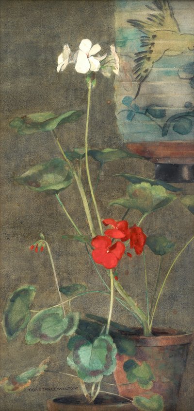 ゼラニウムと提灯（紙に水彩） 作： Constance Walton