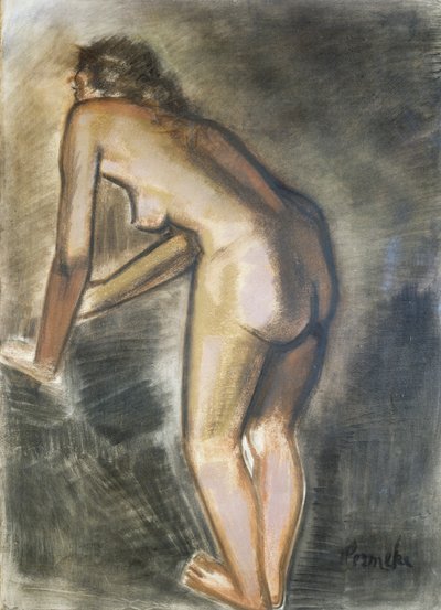 Standing nude, by Constant Permeke (1886-1952). Belgium, 20th century.   1449485   ja       japanese Successfully Translated  Original: Favourites, the Property of H.R.H. Prince George of Cambridge [1835, Royal Academy of Arts, London, exhibition catalogue 作： Constant Permeke