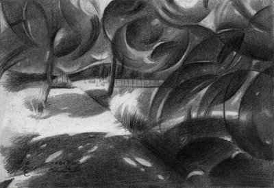  作： Corné Akkers