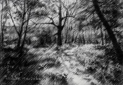  作： Corné Akkers