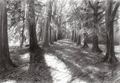  作： 