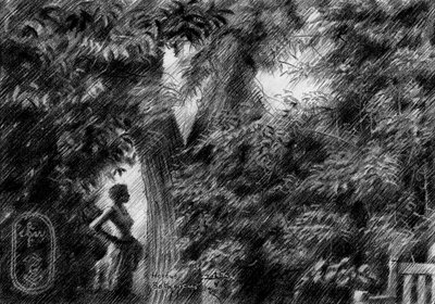  作： Corné Akkers