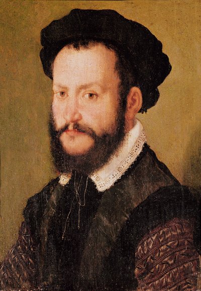 茶色の髪の男の肖像、1560年頃 作： Corneille de Lyon