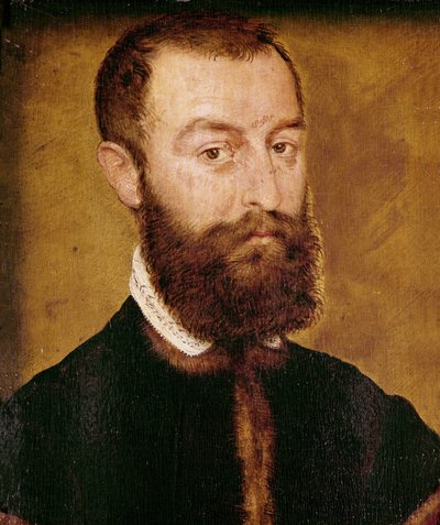 ひげを持つ男の肖像、または、茶色の髪を持つ男の肖像 作： Corneille de Lyon