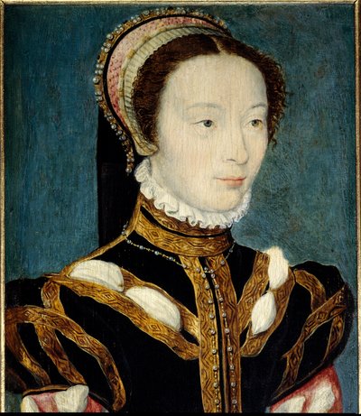 1547年から1557年までメディシス家のキャサリン（カテリーナ・デ・メディチ）の貴婦人であったジョーン・オブ・ハルーイン（ジョーン・オブ・ハルーイン）（1530年生まれ）の肖像。コルネイユ・ド・リヨン（コルネイユ・ド・ザ・ハーグ）（1500/1510-1574）による絵画。木に油彩。薄さ：0.14 x 0.21m。Ver 作： Corneille de la  Haye