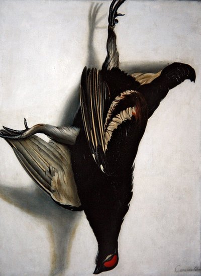 クロコダイルのだまし絵（油彩・キャンバス） 作： Cornelis Biltius