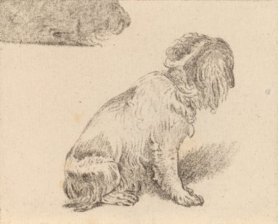 座っている犬、1777年。 作： Cornelis Brouwer