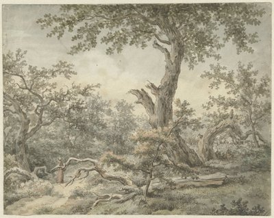 森林景観 作： Cornelis Buys