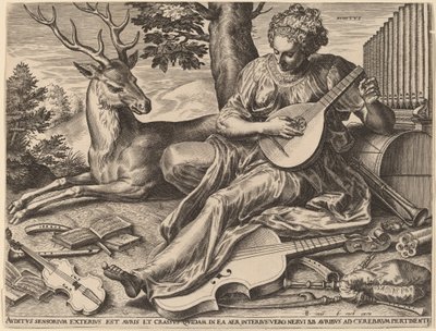 聴覚 作： Cornelis Cort after Frans Floris I
