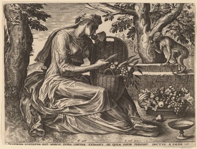 味 作： Cornelis Cort after Frans Floris I