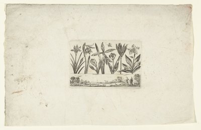 風景の上の花の列 花と風景（連載タイトル） 作： Cornelis Danckerts (I)