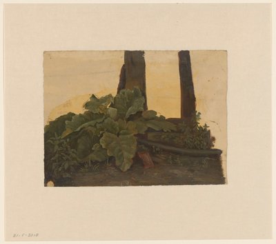 木の幹の根元に植える 作： Cornelis Johannes de Vogel