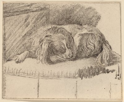 横たわっている犬 作： Cornelis Ploos van Amstel