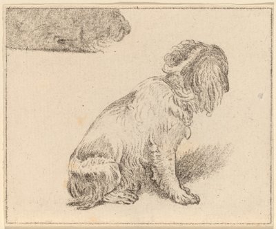 座っている犬 作： Cornelis Ploos van Amstel