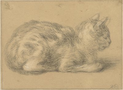 座っている猫、右へ 作： Cornelis Saftleven (possibly)
