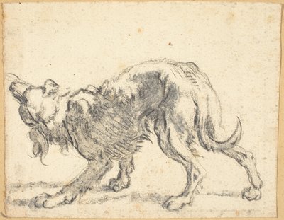 犬 作： Cornelis Saftleven