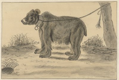 木につながれたクマ 作： Cornelis Saftleven