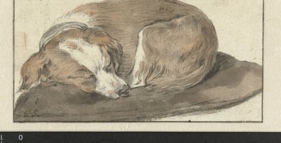 スリーピング・ドッグ 作： Cornelis Saftleven
