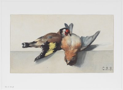 2羽の死んだ鳥のある静物 作： Cornelis Samuel Stortenbeker