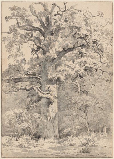 森の端にある巨大なオーク 作： Cornelis Steffelaar
