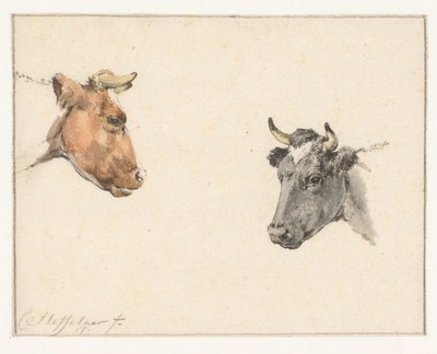 2頭の牛の頭を持つ学習シート 作： Cornelis Steffelaar
